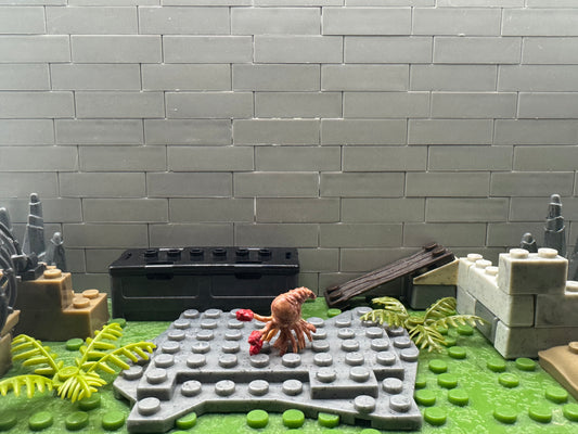 Old Articulation Flood Infection Form